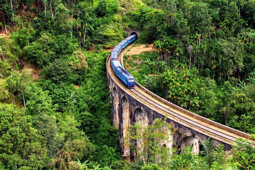 Sri Lanka July Edition! landscape